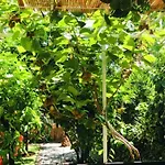 Karmen Auf Zwei Ebenen Mit Garten By Interhome