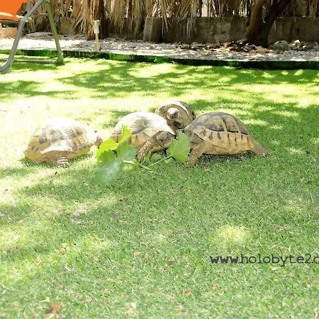 Karmen Auf Zwei Ebenen Mit Garten By Interhome *