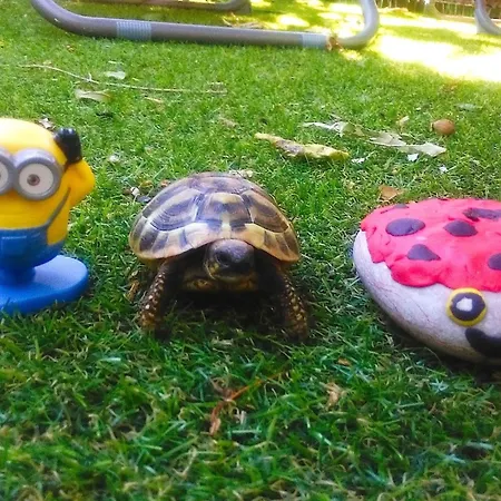 Holiday home Karmen Auf Zwei Ebenen Mit Garten By Interhome