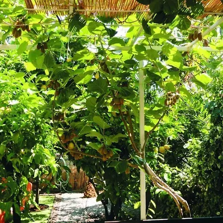 Karmen Auf Zwei Ebenen Mit Garten By Interhome