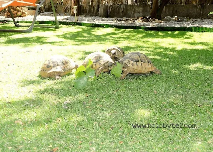 Karmen Auf Zwei Ebenen Mit Garten By Interhome *