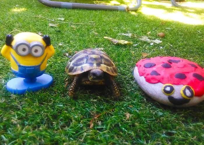 別荘 Karmen Auf Zwei Ebenen Mit Garten By Interhome